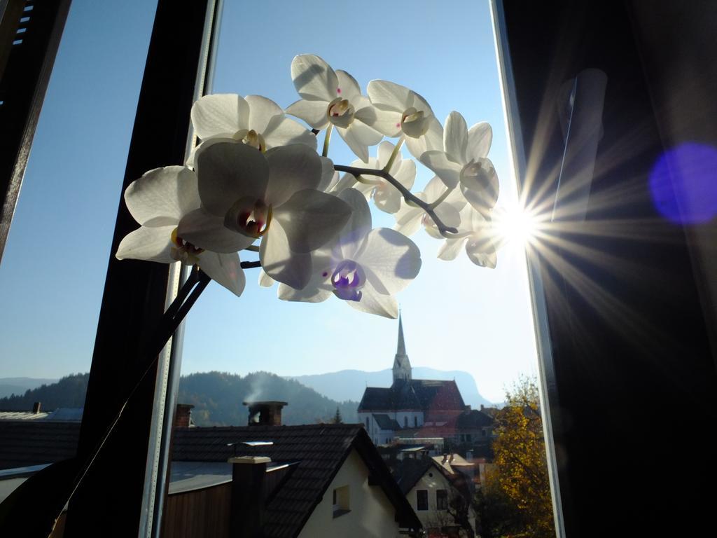 Vila Mila Bled Exteriör bild