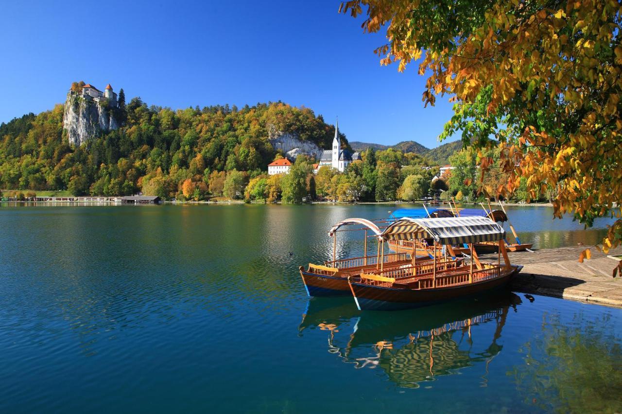 Vila Mila Bled Exteriör bild